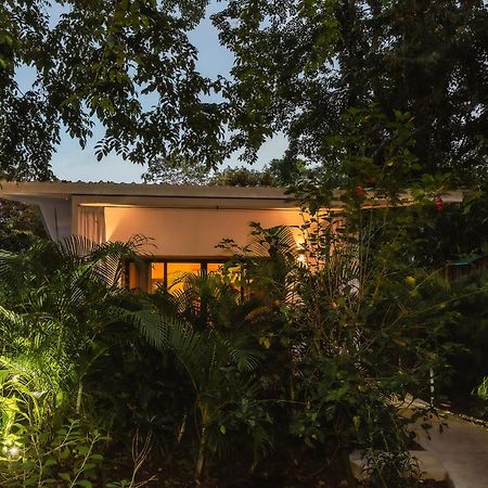 El Nido Jungle Lodge Puerto Viejo de Talamanca Екстер'єр фото