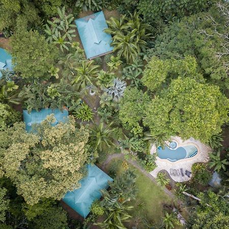 El Nido Jungle Lodge Puerto Viejo de Talamanca Екстер'єр фото