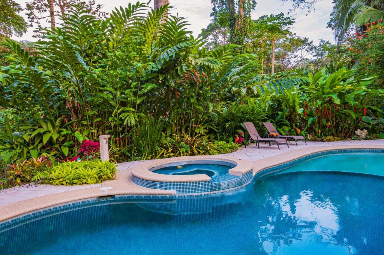 El Nido Jungle Lodge Puerto Viejo de Talamanca Екстер'єр фото