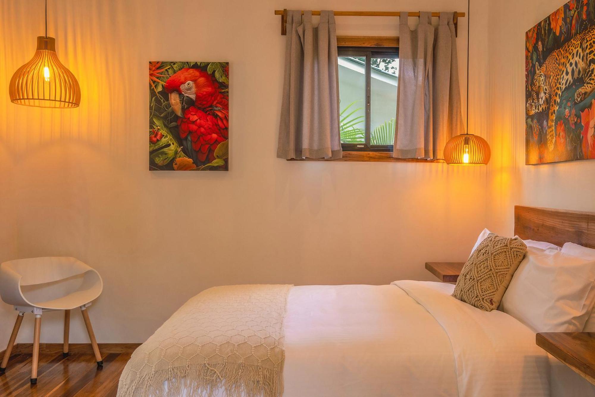 El Nido Jungle Lodge Puerto Viejo de Talamanca Екстер'єр фото