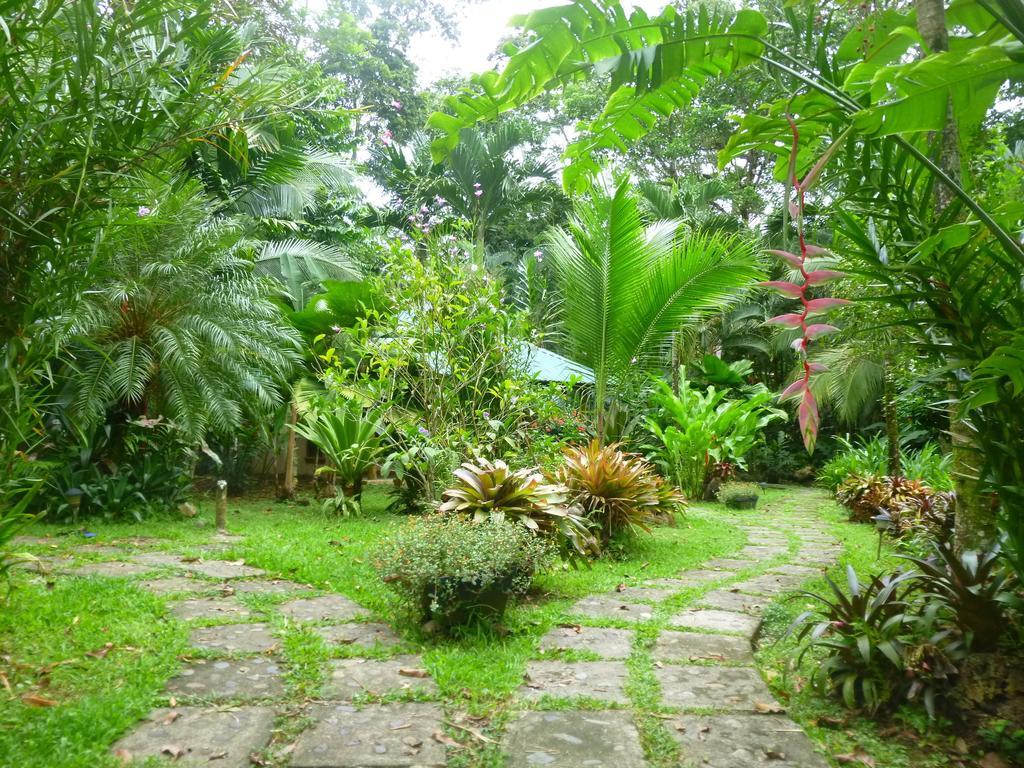 El Nido Jungle Lodge Puerto Viejo de Talamanca Номер фото