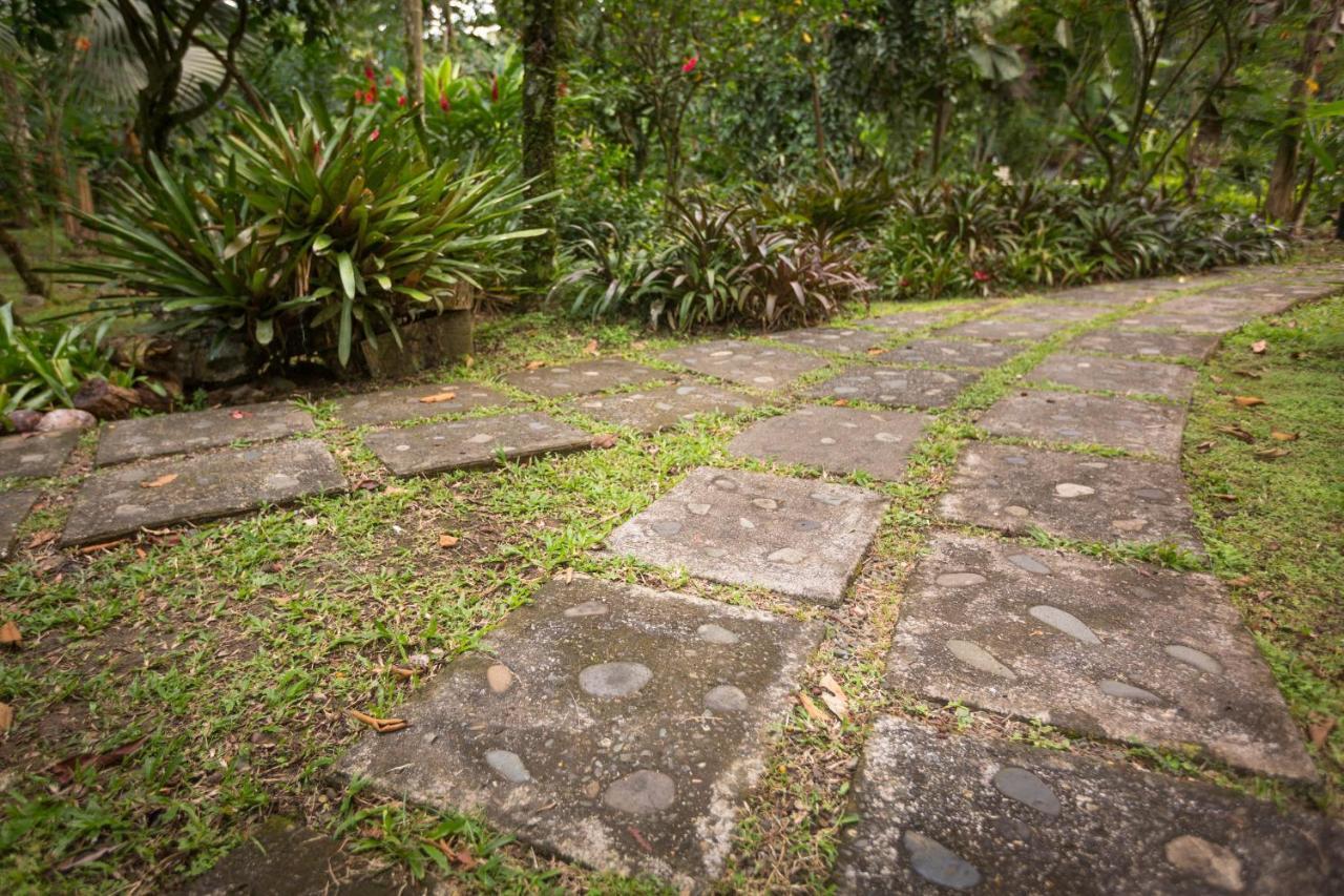 El Nido Jungle Lodge Puerto Viejo de Talamanca Екстер'єр фото