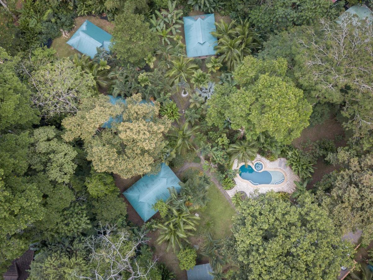 El Nido Jungle Lodge Puerto Viejo de Talamanca Екстер'єр фото