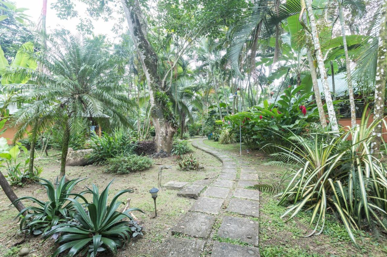 El Nido Jungle Lodge Puerto Viejo de Talamanca Екстер'єр фото
