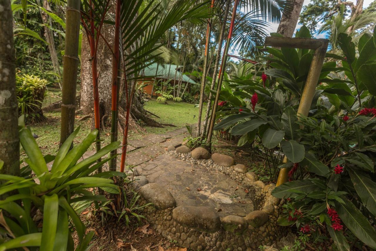 El Nido Jungle Lodge Puerto Viejo de Talamanca Екстер'єр фото