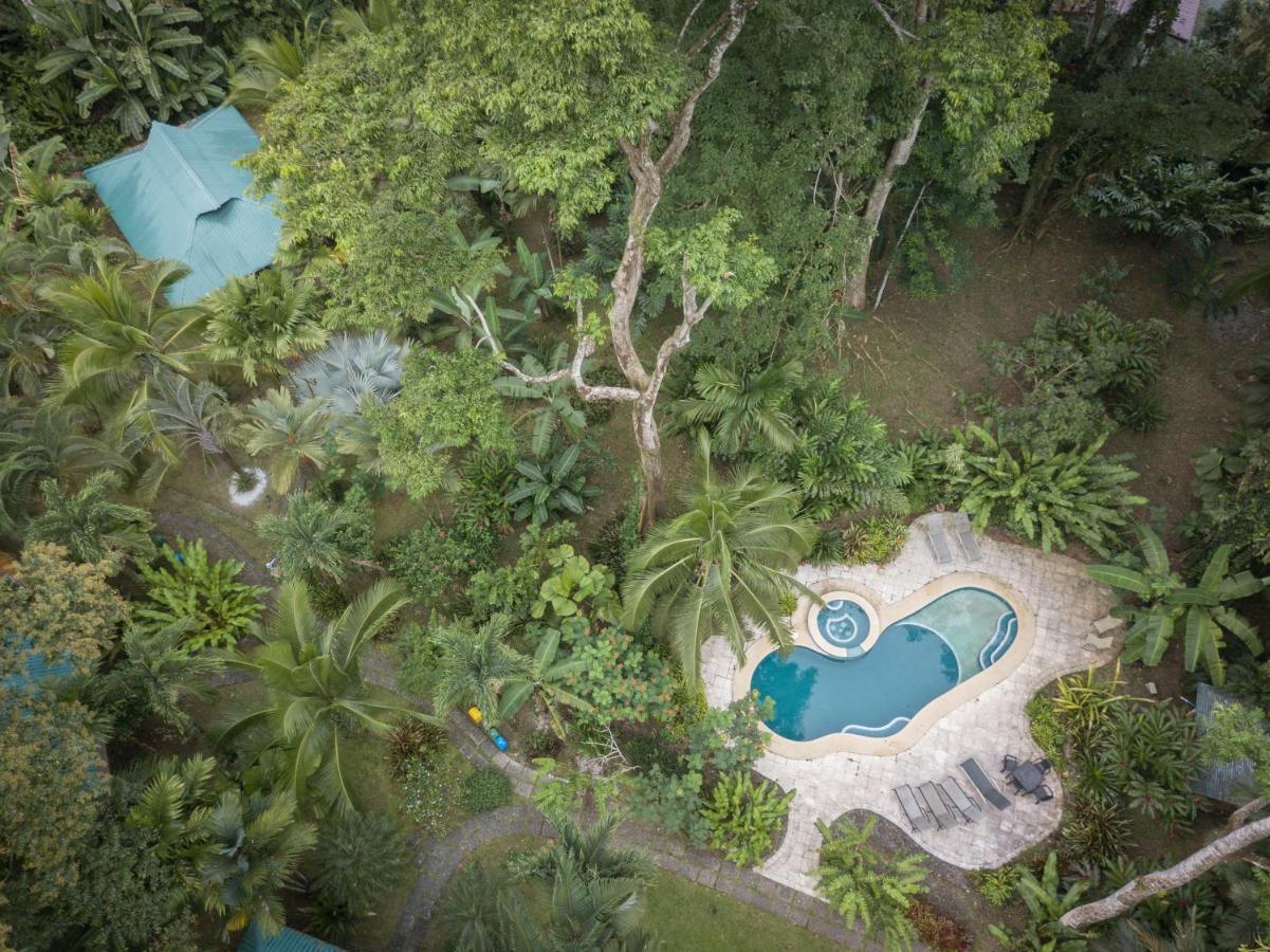 El Nido Jungle Lodge Puerto Viejo de Talamanca Екстер'єр фото