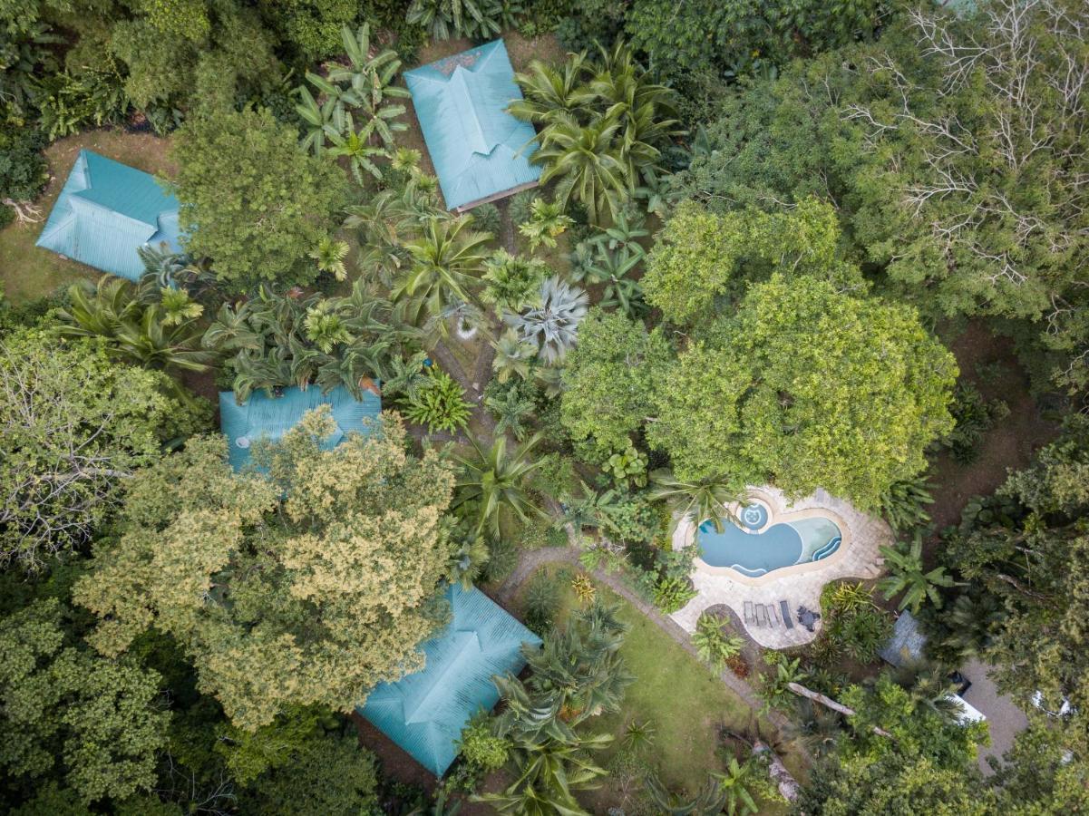 El Nido Jungle Lodge Puerto Viejo de Talamanca Екстер'єр фото